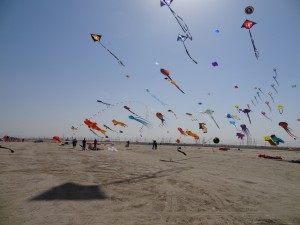 DSC01391