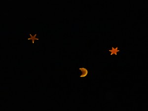 DSC01919