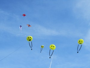 IMG_4208