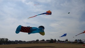 DSC02577