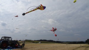 DSC02591