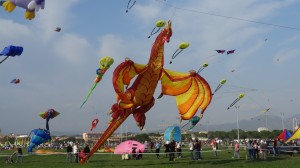 DSC03036
