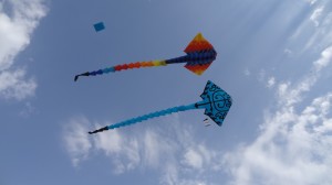 DSC03550