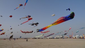 DSC03612