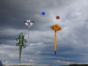 mantas
